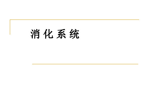 人体解剖学：消化系统大课