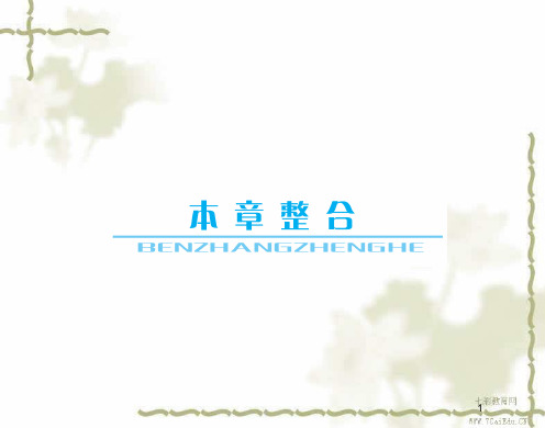 2019高考物理人教版一轮课件第八章 磁场 本章整合.ppt