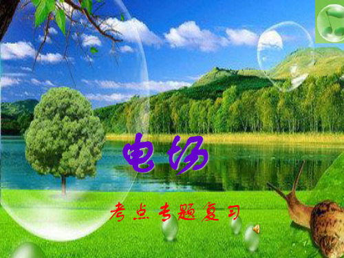 高三二轮专题 电场(选择题)