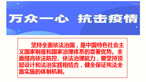 人教版道德和法治八下2.1坚持依宪治国29PPT