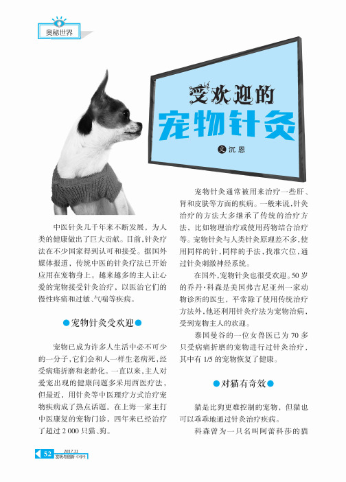 受欢迎的宠物针灸