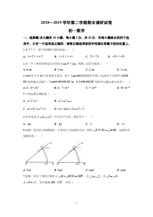 苏州工业园区2018–2019学年第二学期初一数学期末调研试卷(含解析)