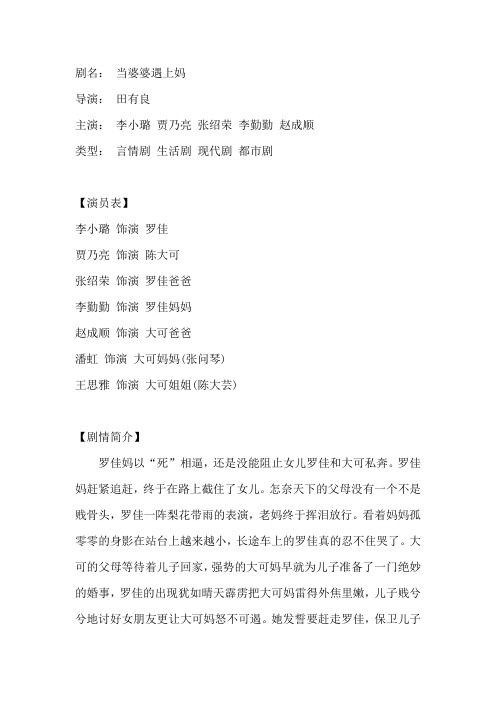 《当婆婆遇上妈》剧情介绍