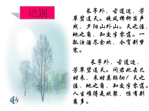 爸爸的花儿落了PPT48 人教版 (共16张PPT)