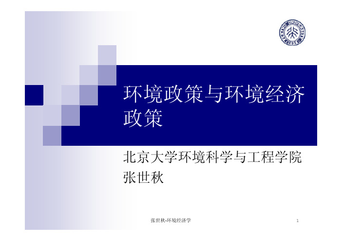 环境经济政策