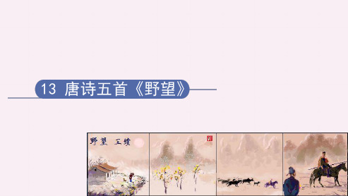 第13课《唐诗五首——野望》课件(共19张PPT) 部编版语文八年级上册