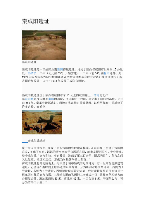 秦宫遗址简介