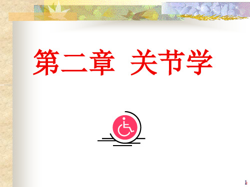 关节学ppt