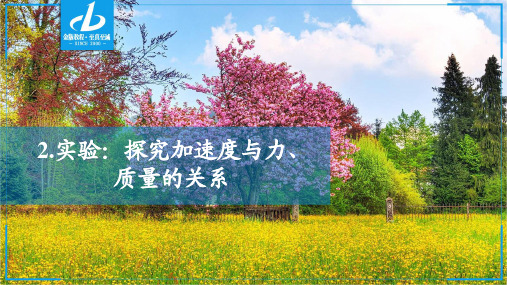 第四章  2.实验：探究加速度与力、质量的关系