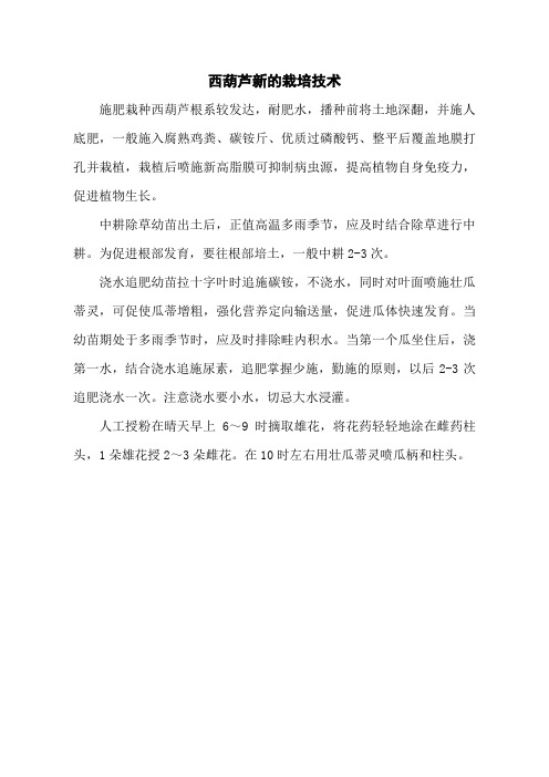 西葫芦新的栽培技术