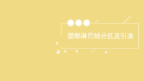 颈部淋巴结分区及引流 