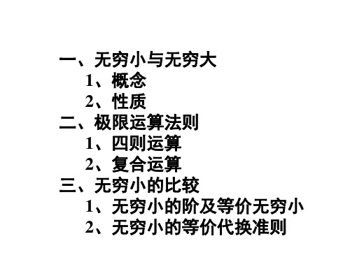 1-3无穷小无穷大与极限运算法则