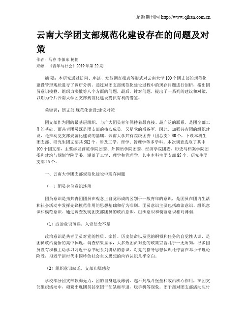 云南大学团支部规范化建设存在的问题及对策