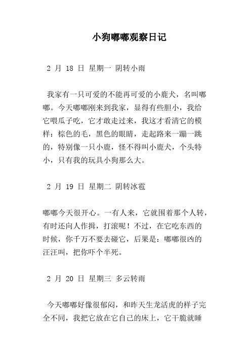 小狗嘟嘟观察日记