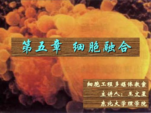 第5章 细胞融合-2012