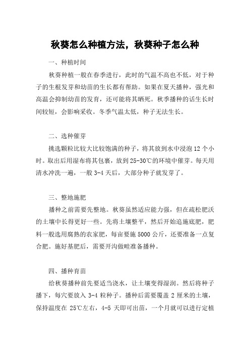 秋葵怎么种植方法,秋葵种子怎么种