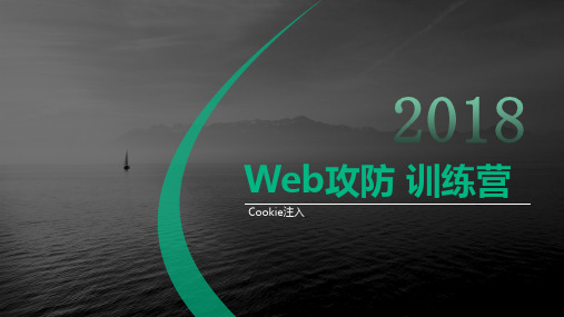 【Web攻防】第十六节 Cookie注入