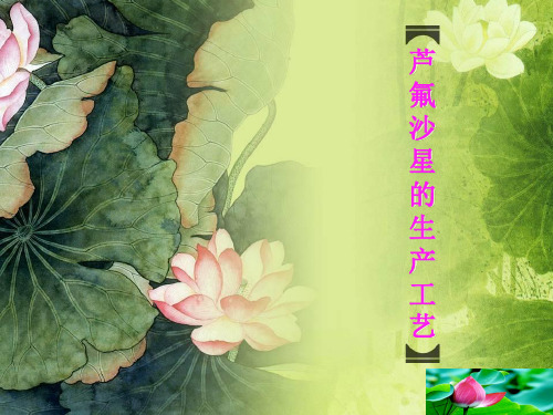 芦氟沙星
