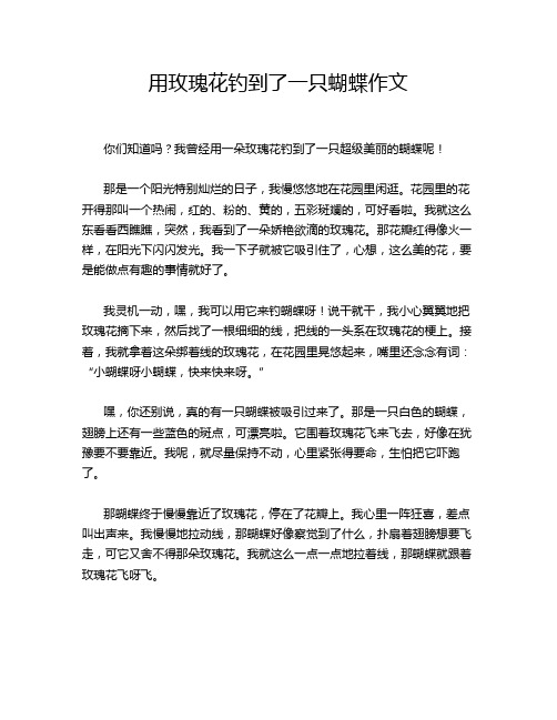 用玫瑰花钓到了一只蝴蝶作文