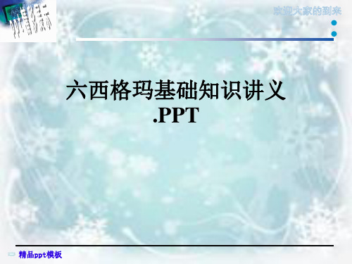 六西格玛基础知识讲义.PPT