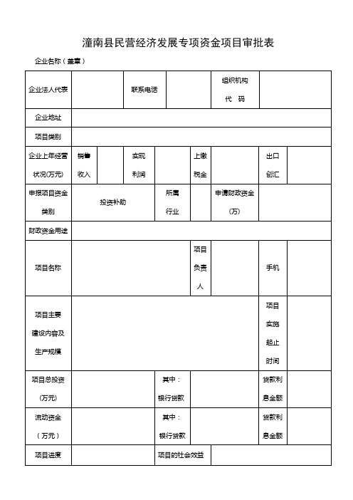 专项资金审批表
