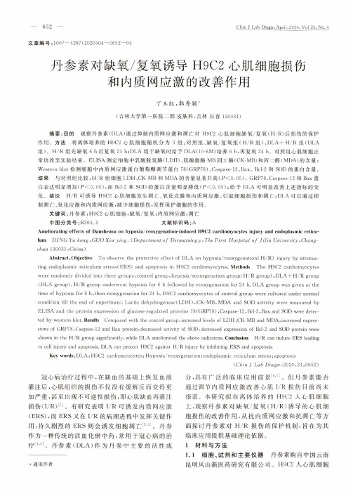 丹参素对缺氧复氧诱导H9C2心肌细胞损伤和内质网应激的改善作用