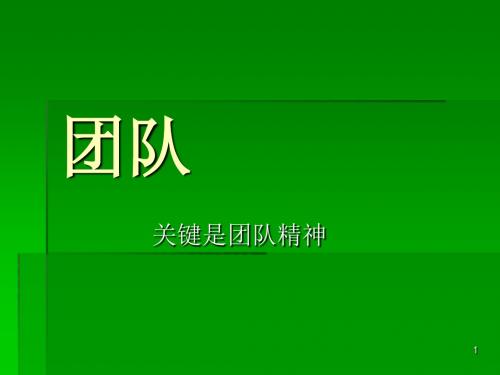 团队精神培养教材(PPT 30张)
