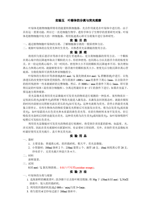 实验五  叶绿体的分离与荧光观察