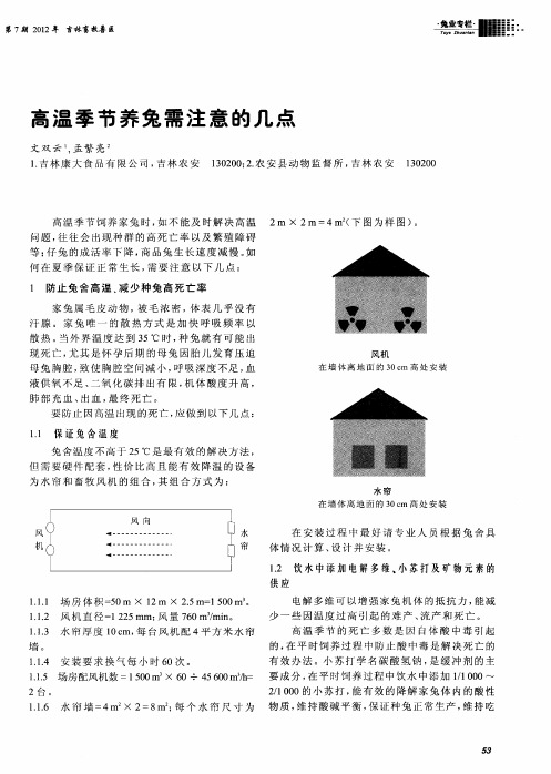 高温季节养兔需注意的几点