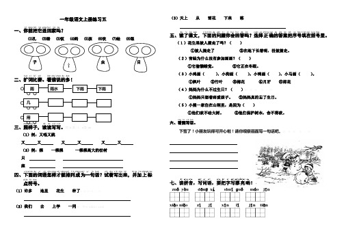 2014-2015学年一年级上册语文期末考前复习试卷