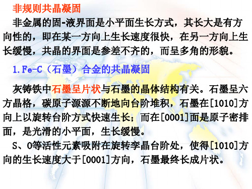 凝固组织
