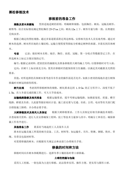 黑松移植技术