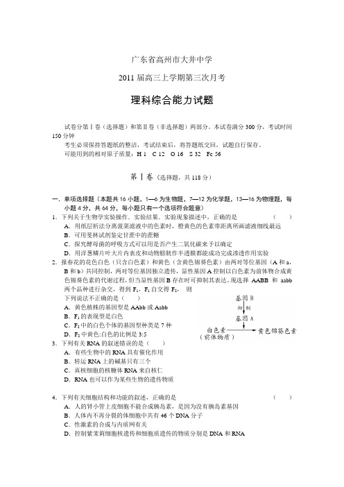 广东省高州市大井中学2011届高三第三次月考(理综)
