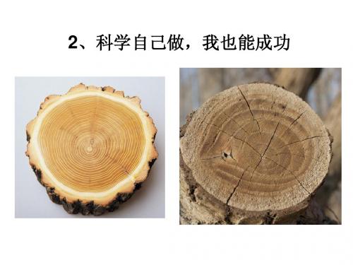 2、科学自己做,我也能成功