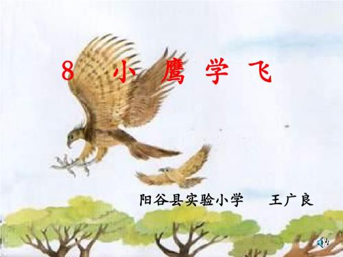 二年级语文小鹰学飞