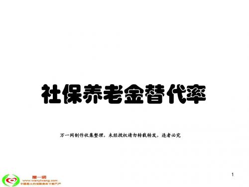 社会养老保险养老金替代率12页