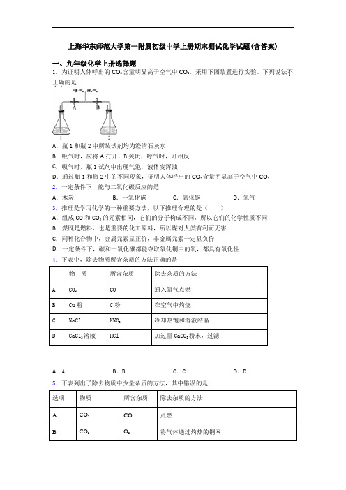 上海华东师范大学第一附属初级中学初三化学上册期末测试化学试题(含答案)
