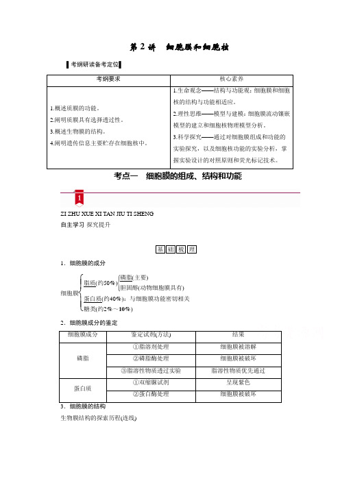 2021新高考生物人教版一轮复习讲义：必修部分 模块1 第2单元 第2讲 细胞膜和细胞核 (含答案)