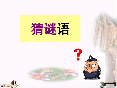 二年级语文上册 识字二 猜谜语课件 西师大版