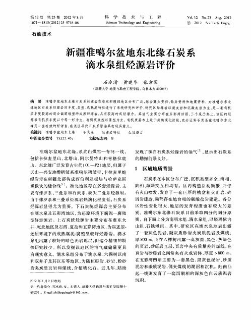 新疆准噶尔盆地东北缘石炭系滴水泉组烃源岩评价