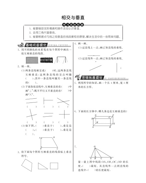 四年级上册数学试题-相交与垂直丨北师大版含答案