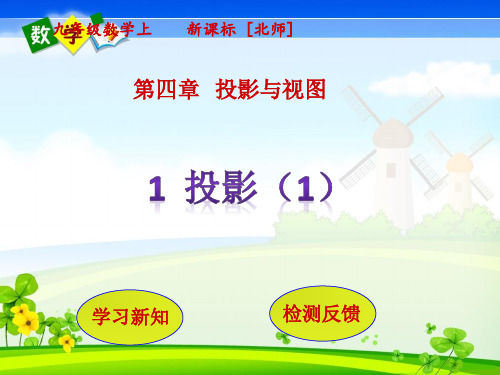 北师版数学九年级上册教学课件 第5章   投影与视图1  投影(1)