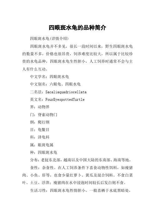 四眼斑水龟的品种简介