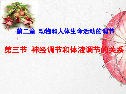 新版人教版高中生物神经调节和体液调节的关系 (共31张PPT)学习演示PPT课件