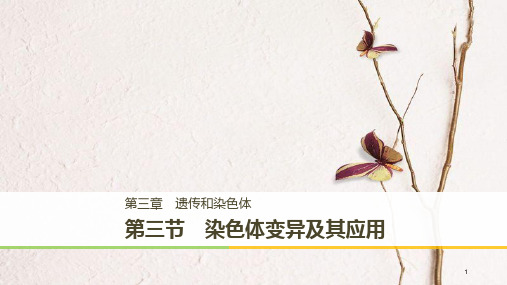 高中生物 第三章 遗传和染色体 第三节 染色体变异及其应用课件 苏教版必修2.pptx