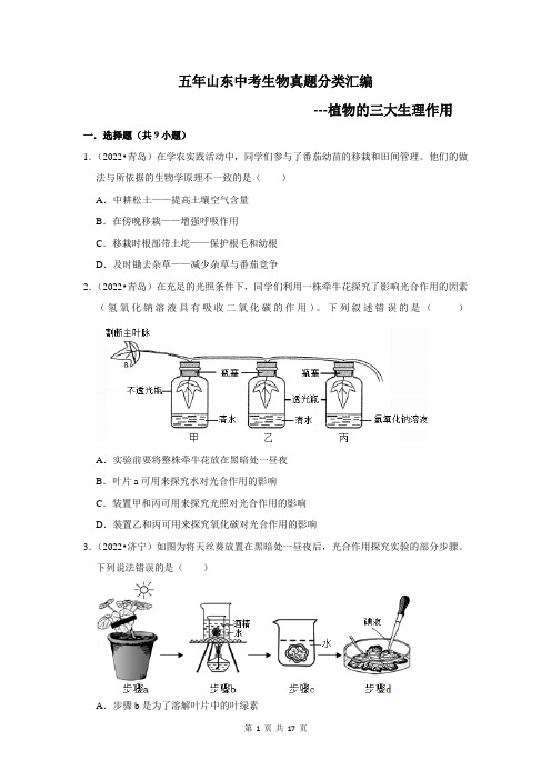 五年山东中考生物真题分类汇编---植物的三大生理作用