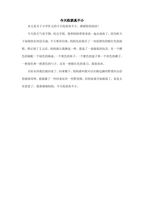 今天收获真不小_小学作文