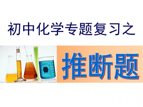 2016人教版南方新中考初中九年级化学精品复习课件专题复习一：推断题1