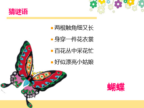 一年级下册美术漂亮的蝴蝶赣美版
