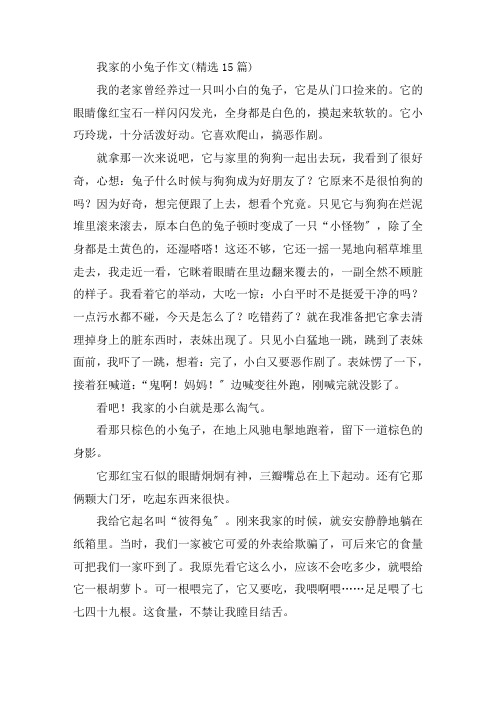 中小学我家的小兔子作文(精选15篇)